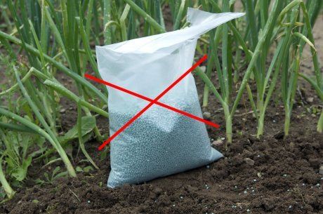 азотные удобрения как вносить в почву